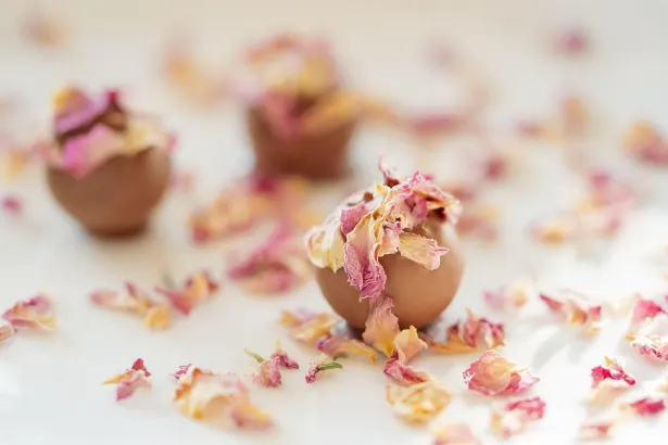 Pelican Casino Aip Android/iOS